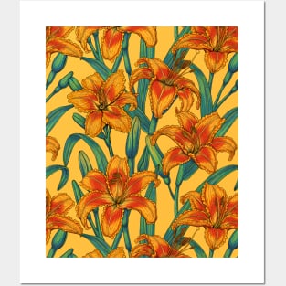 Tawny daylily flowers, blue and yellow Posters and Art